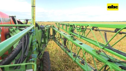 ABC Rural: La soja no es algo exclusivo para grandes productores