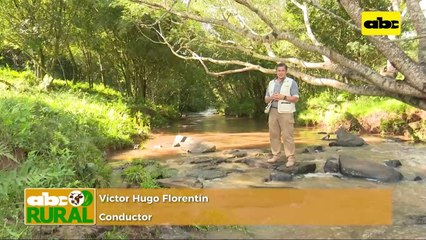 ABC Rural: Cosecha de variedades de soja Great Seeds y su rendimiento