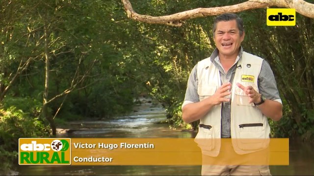 ABC Rural: Importancia de la genética acompañada con nutrición de De Heus