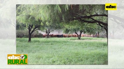 ABC Rural: Cómo lograr el equilibrio entre biodiversidad y producción