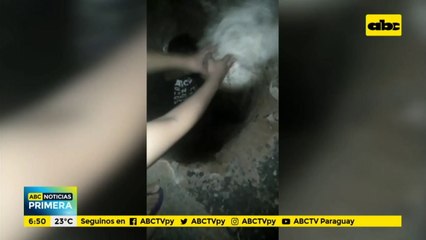 Rescatan a perritas que cayeron a un pozo