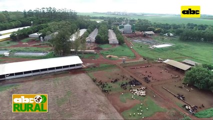 ABC Rural: Exportación de carne ovina paraguaya, una oportunidad