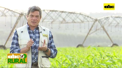 ABC Rural: Resultados de manejo de recría y ganancia de peso