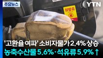 '고환율 여파' 소비자물가 2.4% 상승...농축수산물 5.6%·석유류 5.9%↑ / YTN