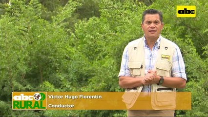 ABC Rural: Jornada de campo de arroz en Estancia 7 Puntas de GPSA