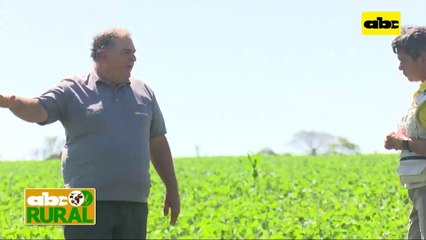ABC Rural: Diferencia de rendimiento de soja, en suelos con siembra directa