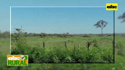 ABC Rural: Tiempo de retorno de inversión, tras uso de aviones para aplicación de fitosanitarios