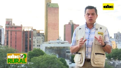 ABC Rural: Condiciones ideales para aplicación de fitosanitarios