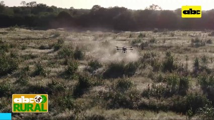ABC Rural: Drone pulverizador, uso y ventajas