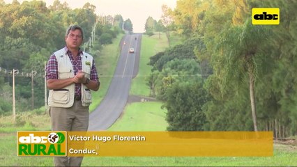 ABC Rural: Canola como opción de cultivo para otoño-invierno