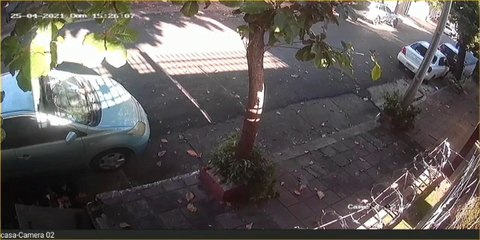 Detienen a un “tortolero” gracias a imágenes de circuito cerrado