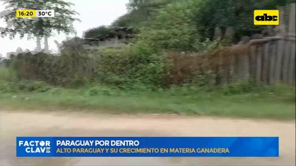 Paraguay por dentro: Alto Paraguay y su crecimiento en materia ganadera