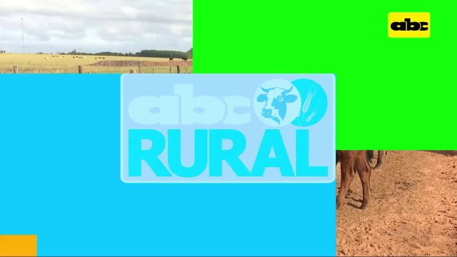 ABC Rural: Confinamiento de ganado para engorde en estancias