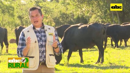 ABC Rural: Silo de almacenamiento con balanza y dosificación electrónica