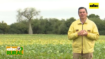 ABC Rural: Cosecha de arroz y preparación de campos para ganado