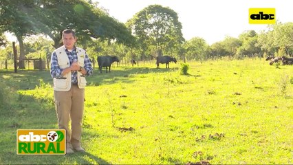 ABC Rural: Control en producción lechera por sistema digital