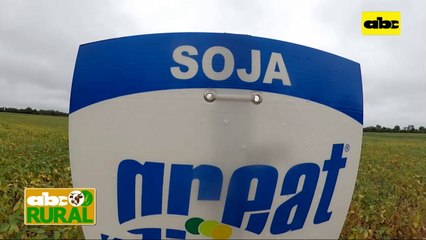 Abc Rural: Semillas de soja Great Seeds en el Chaco y su garantía