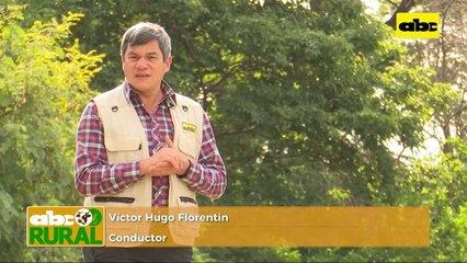 Abc Rural: Variedades de soja Great Seeds debutaron en el Chaco