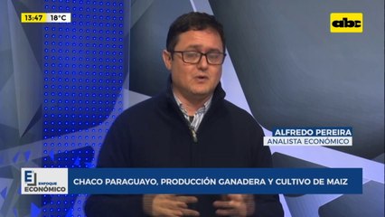 Enfoque Económico: Chaco paraguayo, producción ganadera y cultivo de maíz