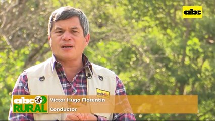 Abc Rural: Importancia de la velocidad de siembra en trigo
