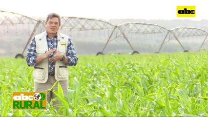 ABC Rural: Cómo evitar el quiebre de cosecha con buen manejo de suelo