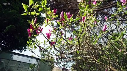 Escape to the Country Season 26 Episode 17 Dorset