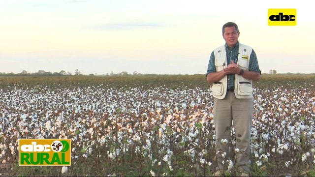 Abc Rural: Preocupa a Parpov uso de semillas ilegales