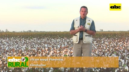 ABC Rural: Cría y ordeño de búfalas lecheras