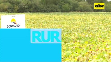 Abc Rural: Semillas Don Mario avanzan en el Chaco Paraguayo