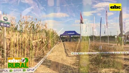 Abc Rural: GPSA en jornada de la Fundación Ideagro