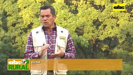Abc Rural: Producción de Chía, su desarrollo y oportunidades del cultivo