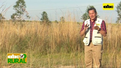 Abc Rural: Trabajo de encalado con agricultura de precisión y sus ventajas