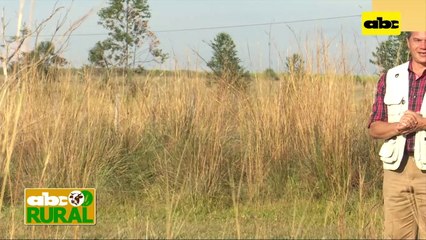 Abc Rural: En DVA hablan de tratamiento de semillas