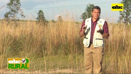 Abc Rural: Pozos artesianos, inversión a largo plazo