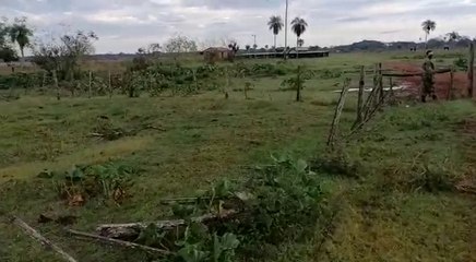 Atacan estancia de Pastor Soria