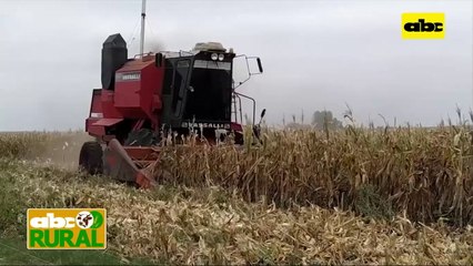 Abc Rural: Noticias internacionales