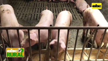 Abc Rural: Noticias internacionales