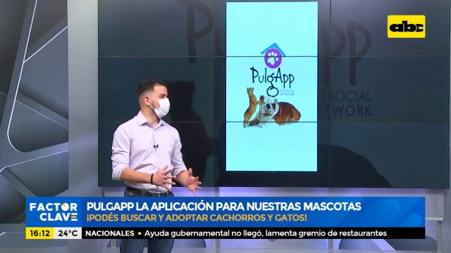 PulgApp la aplicación para nuestras mascotas