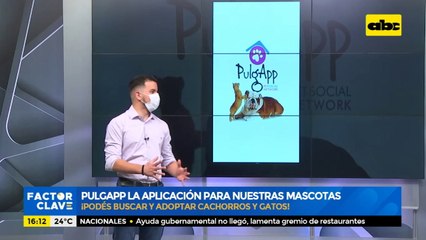 PulgApp la aplicación para nuestras mascotas