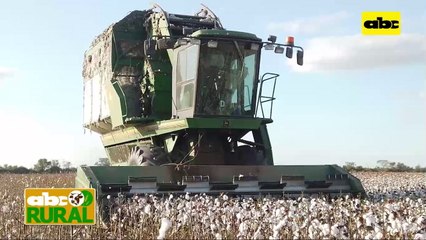 ABC Rural: Te recomienda