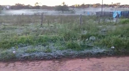 En Misiones cayeron gruesas heladas.