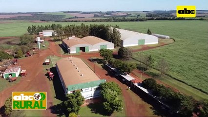 ABC Rural: Sembrar primero y cosechar primero