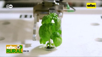 ABC Rural: Informaciones Rurales Internacionales