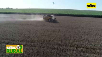 ABC Rural: Grupo Don Mario y su posicionamiento en Paraguay