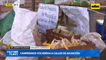Campesinos volverán a calles de Asunción