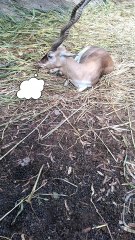 Is that how you open your emails?