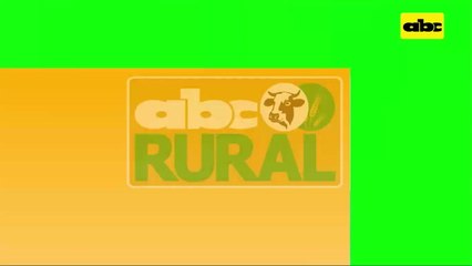ABC Rural: Producción de sorgo en el Chaco para forraje invernal