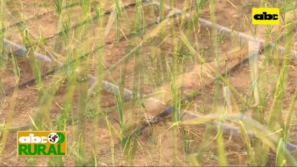 Abc Rural:  Asesoramiento para el uso correcto de sistemas de riego