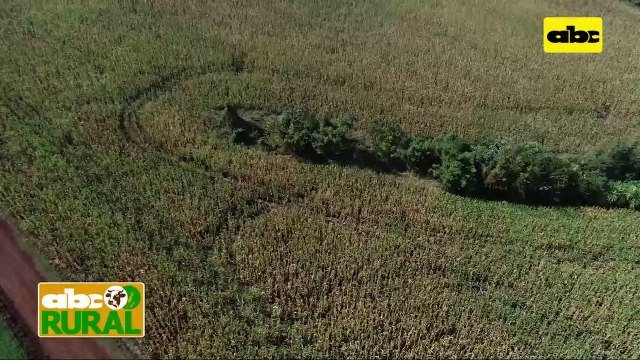 ABC Rural: Productos biológicos y control de plagas en cultivos