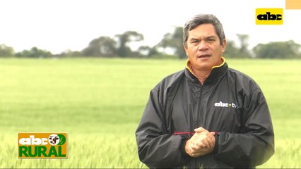 ABC Rural: Fecoprod asiste a a productores con visión presente y sustentable